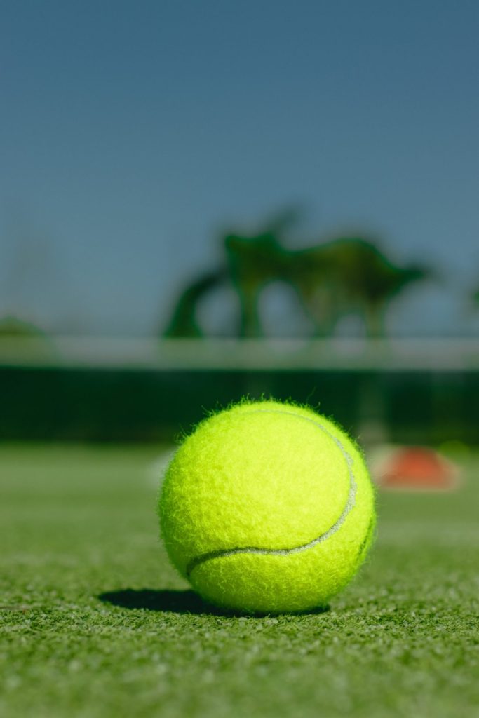 Wimbledon Vegan Tennis balls