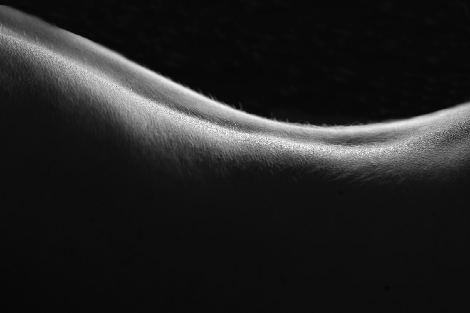 Vegan body cream