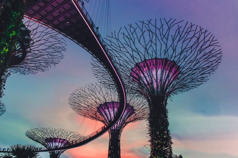 The 21 Most Vegan Friendly Countries In The World