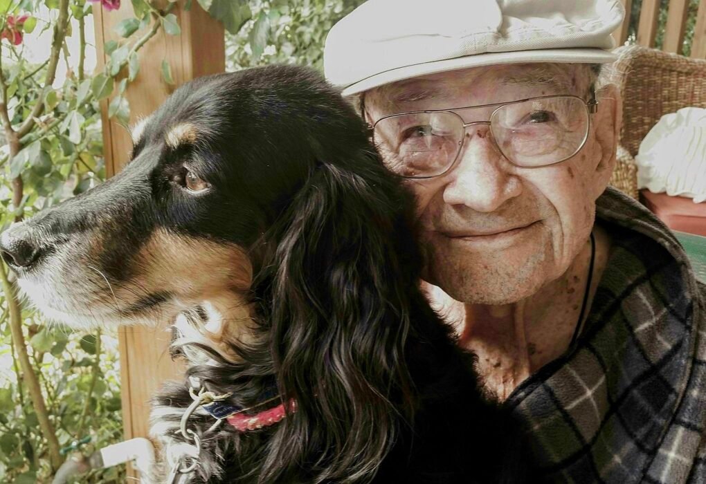 How UK Cinnamon Trust Saved 158,000 Animals From Euthanasia Caavakushi