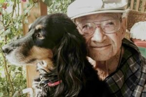 How UK Cinnamon Trust Saved 158,000 Animals From Euthanasia Caavakushi