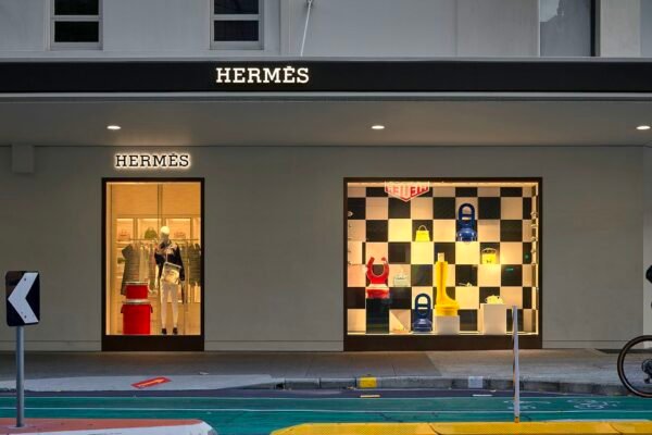 Horrifying Math Of How Many Animals Die For 1 Hermes Birkin Bag! Caavakushi