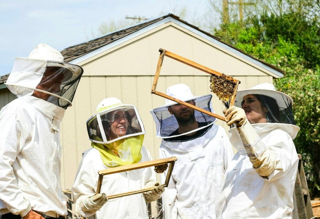 Honey Industry & Beekeepers Manipulate & Exploit Bee Colony, Kill Billions & Control Queen For Profit! Caavakushi