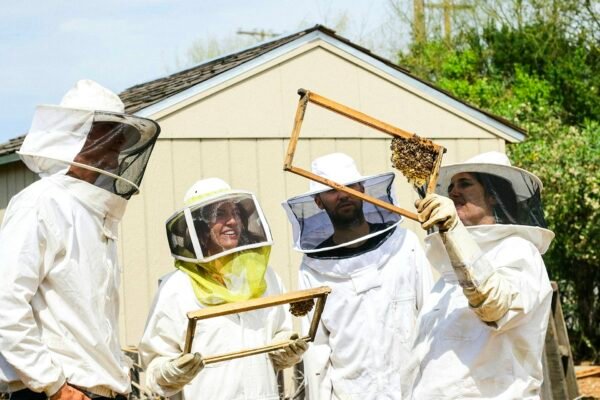 Honey Industry & Beekeepers Manipulate & Exploit Bee Colony, Kill Billions & Control Queen For Profit! Caavakushi