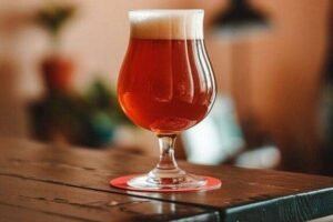 Gross Reason Your Friday Beers Aren't Actually Vegan! (Fish Guts) Caavakushi