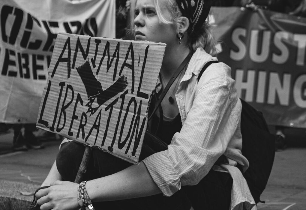 5 Ways Animal Rights Activists Are Beating New Anti-Protest Laws! Caavakushi