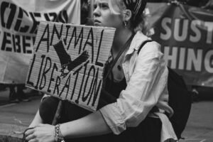5 Ways Animal Rights Activists Are Beating New Anti-Protest Laws! Caavakushi