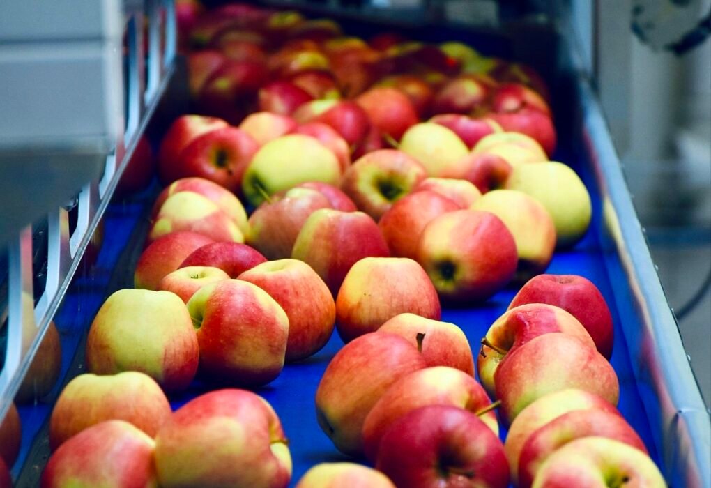 How Billionaires Are Using Food Supply Chain To Phase Out Meat Caavakushi