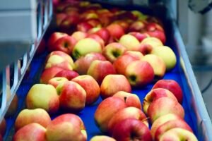 How Billionaires Are Using Food Supply Chain To Phase Out Meat Caavakushi