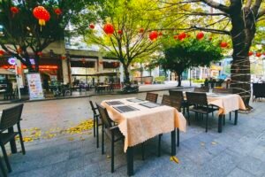 Mandarin Phrases That Prevent Vegans From Ordering Hidden Animal Ingredients In China Caavakushi