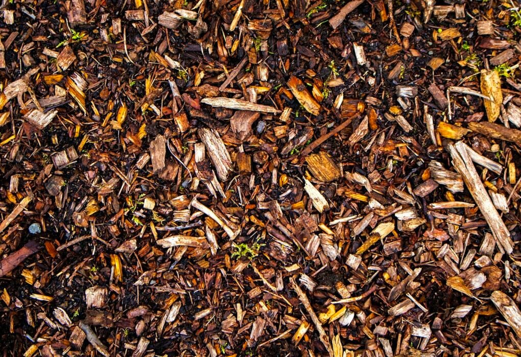 Mulch Glue Cruelty-Free Or Is It Secretly Killing 1,000s Insects? Caavakushi
