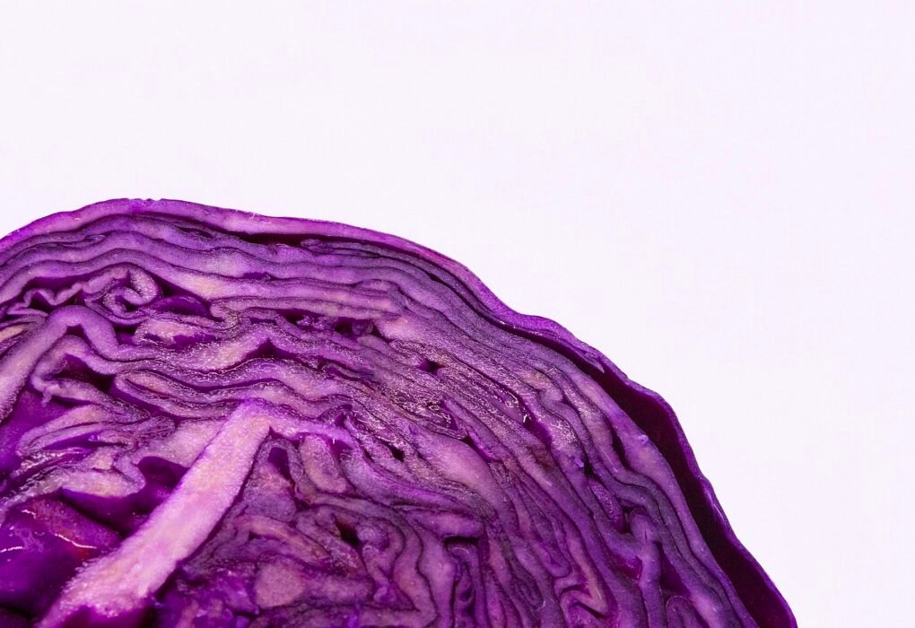 8 Purple Vegetables That Can Destroy Disease & Extend Your Life! Caavakushi