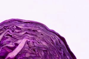 8 Purple Vegetables That Can Destroy Disease & Extend Your Life! Caavakushi