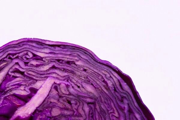8 Purple Vegetables That Can Destroy Disease & Extend Your Life! Caavakushi
