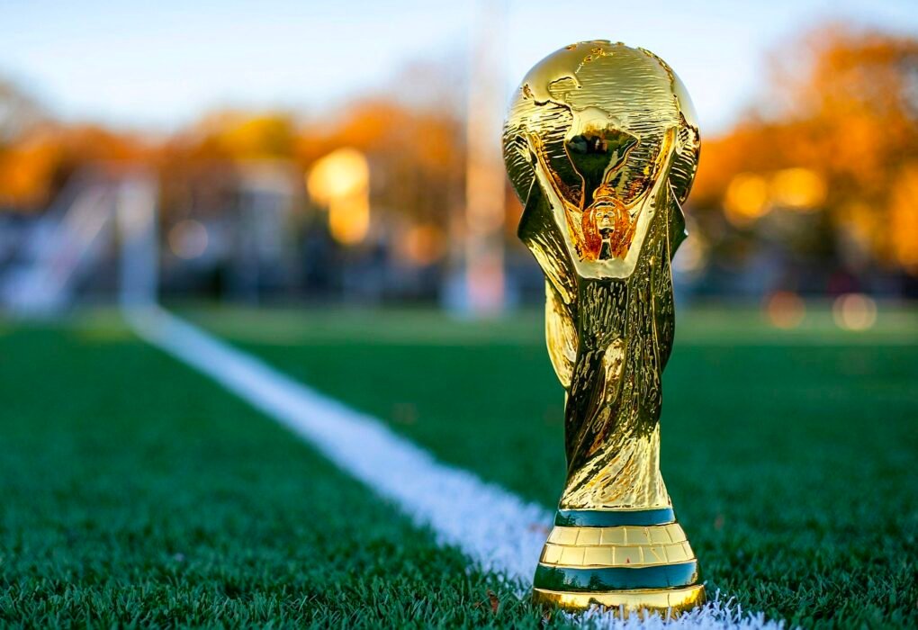 Is The World Cup Football Ball Vegan & Cruelty-Free? Caavakushi