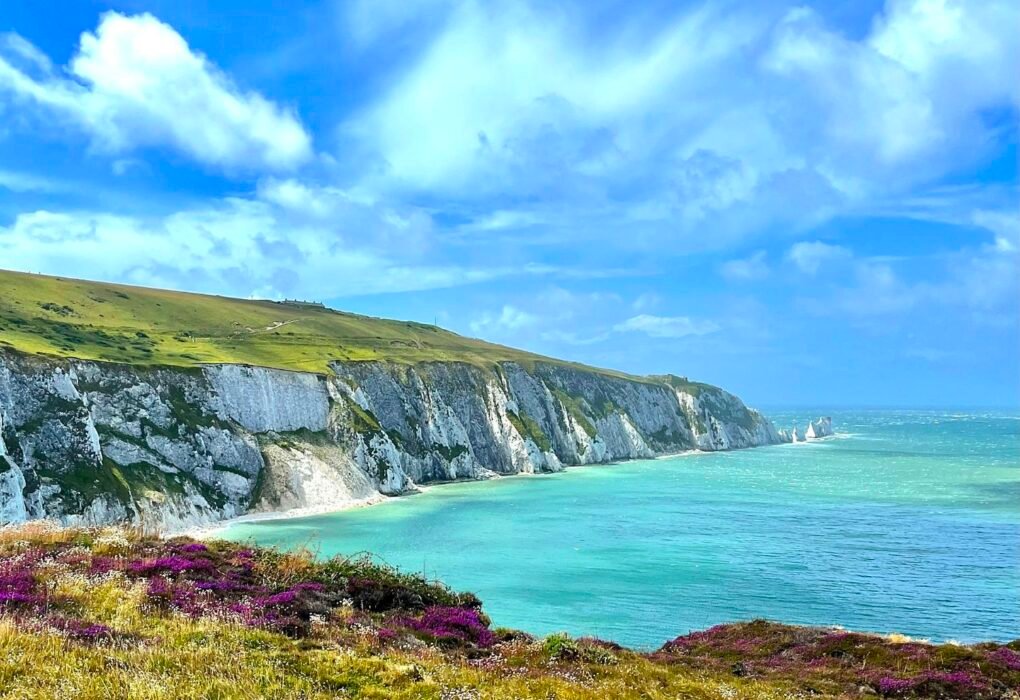 6 Best Vegan Restaurants Isle Of Wight, UK Has To Offer Caavakushi
