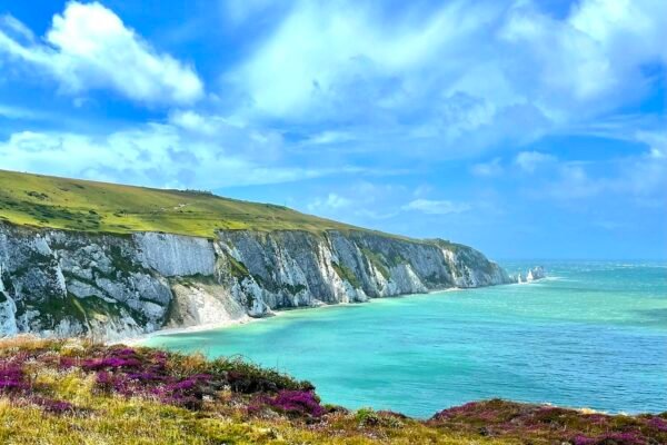6 Best Vegan Restaurants Isle Of Wight, UK Has To Offer Caavakushi