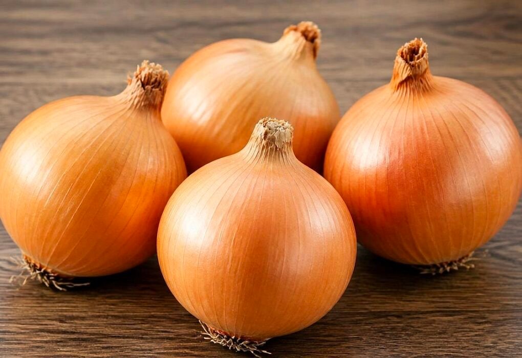 White Onions: Health benefits (79% Reduction In Bacterial Growth) Caavakushi