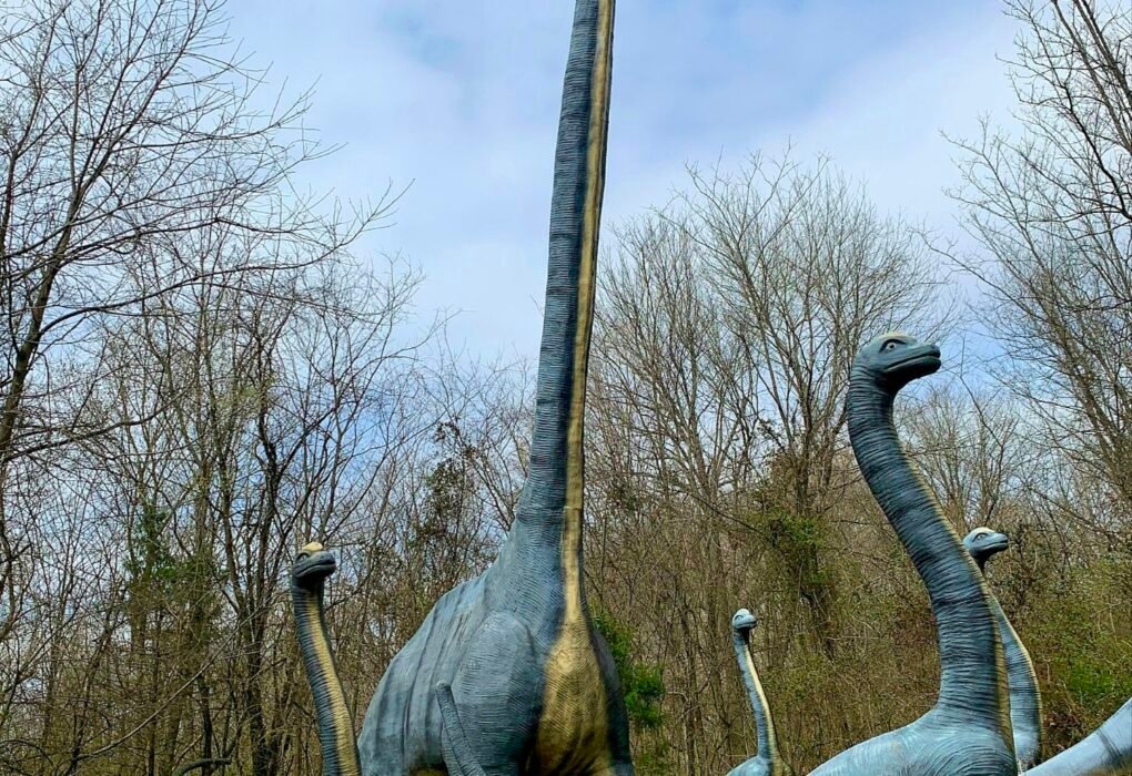10 Largest Vegan Dinosaurs (80 Ton Plant-Powered Giants) Caavakushi